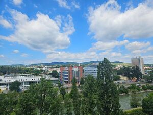 Blick auf den Kahlenberg, über den Dächern von Wien