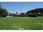 Ihr Platz fürs Traumhaus: Grundstück in Gnieß-Sinabelkirchen