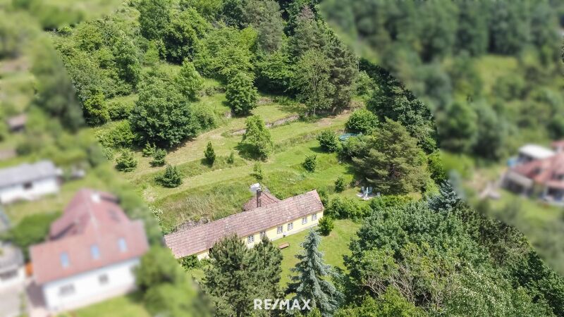 Sonniges Baugrundstück in Krems-Alauntal-Ihre zukünftige Ruheoase?