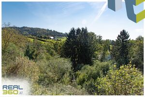 Idyllisches Hanggrundstück mit 8.500 m², nur 13min von Linz entfernt!