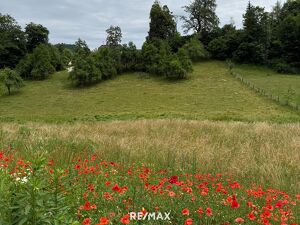 Schönes, sonniges Grundstück in herrlicher Lage in Maria Rain