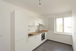 Sanierte Mietwohnung in Graz-Waltendorf mit 3 Zimmer