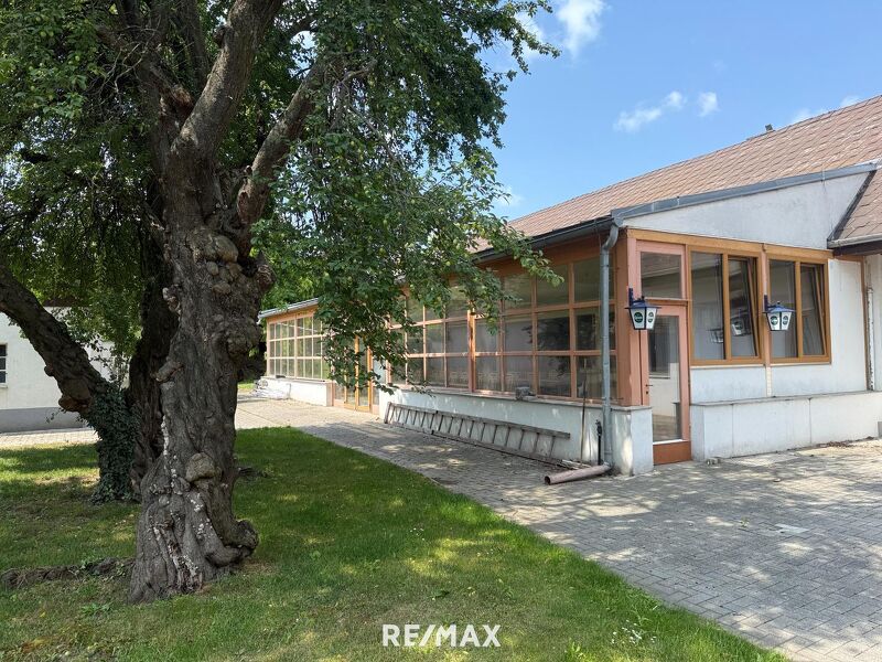 Sonderobjekt - Große attraktive Liegenschaft