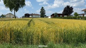SONNIGES BAUGRUNDSTÜCK ohne Bauzwang
