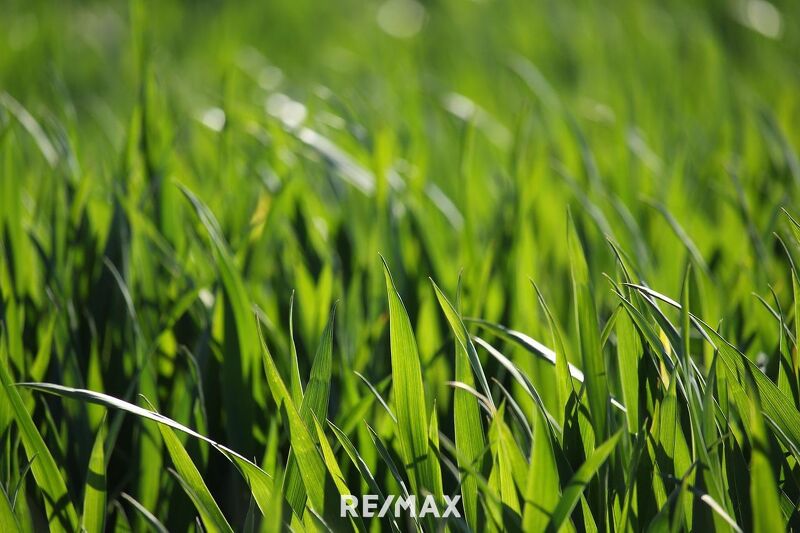 Landwirtschaftliche Fl&auml;che (ein Grundst&uuml;ck mit ca. 11 ha) - BEZIRK OBERWART!