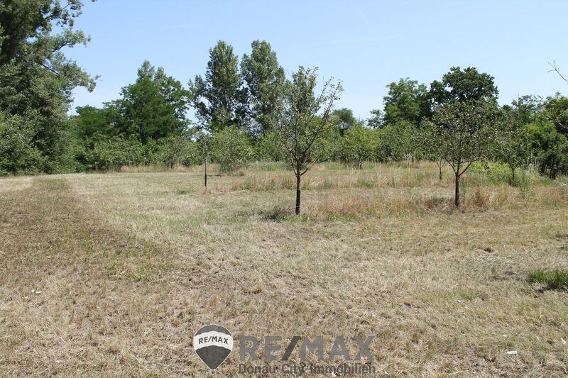 "Bauland Sondergebiet für Gastro oder Freizeit!"