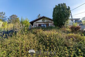 "Raus aus der Stadt ? ohne die Stadt zu verlassen"