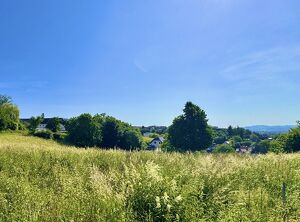 PANORAMABAUGRUND *823 m²