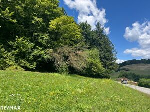 Grundstück mit sonniger Aussichtslage