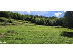 Bauland (ca. 8.700 m²) in herrlicher Panoramalage zu kaufen in Stattegg!