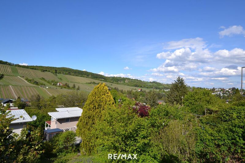 Ruhige Gr&uuml;nlage mit Weinbergblick ? Pachtgrundst&uuml;ck mit Sommerh&auml;uschen & Neubau-M&ouml;glichkeit! Digitales Angebotsverfahren!