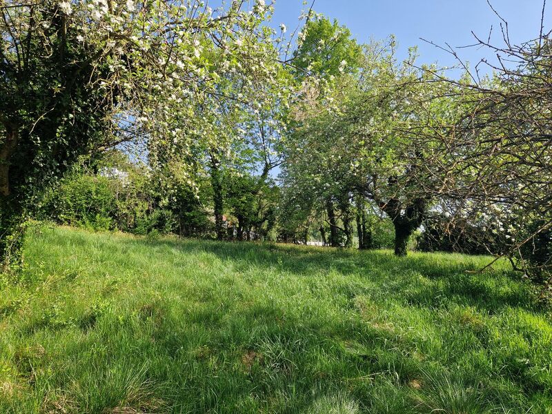 Schönes Baugrundstück im Herzen von Hartberg