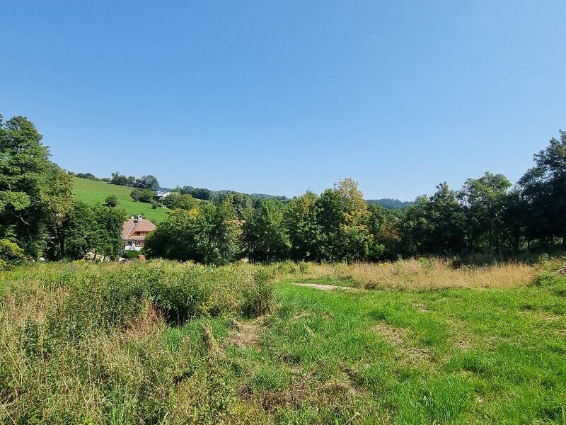 NEUPARZELLIERUNG IN SCHÖNER RUHELAGE