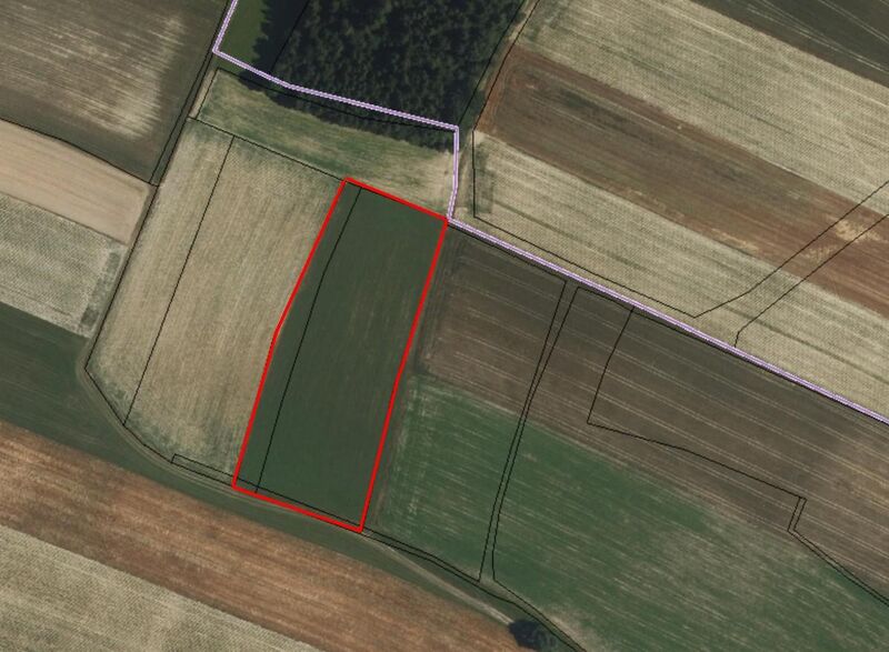 *In Kaufabwicklung* Acker/Wiese