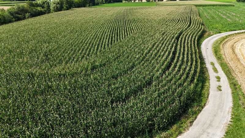 *In Kaufabwicklung* Acker