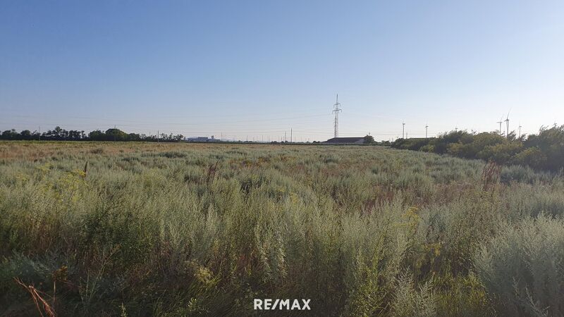 Landwirtschaftliche Fl&auml;che mit Zukunftspotenzial