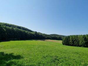 LANDWIRTSCHAFT VOR DEN TOREN WIENS