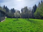 12.000 m² Alleinlage in Graz-Umgebung ? Wohnhaus mit Nebengebäude