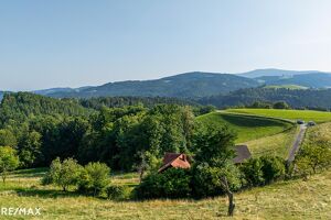 Landhaus mit Scheibengrundstück 23 Minuten vor Graz!