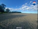 >>> Kaufanbote liegen vor ! <<<  Sch&ouml;ne Ackerfl&auml;che in Scharten / Buchkirchen
