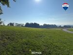 Landwirtschaftliche Nutzfläche nahe Waizenkirchen/Peuerbach