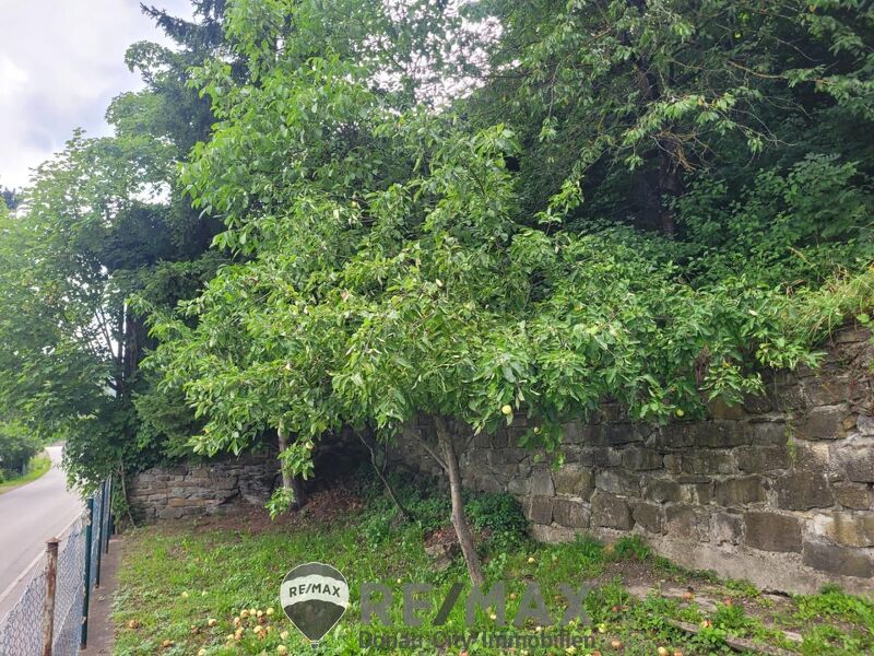 "Mein Projekt f&uuml;r 2026!"