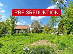 "Sonniges Baugrundstück im Zentrum von Ziersdorf"
