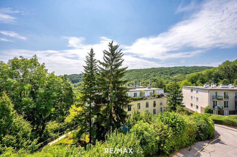 3 Zimmer Wohnung | Pötzleinsdorf | Grünruhelage | Fernblick