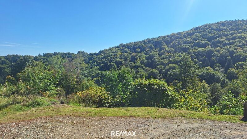 Traumhaftes Baugrundstück in Kranachberg bei Gamlitz ? Ihr Platz an der Sonne