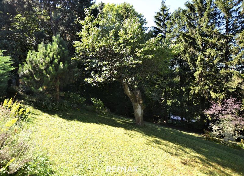 Baugrundst&uuml;ck im Augustinerwald - Naturidylle mit Hanglage