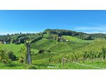"Above it All" ? Luxus-Apartment am Hochgrassnitzberg mit Aussicht und Anlagefaktor