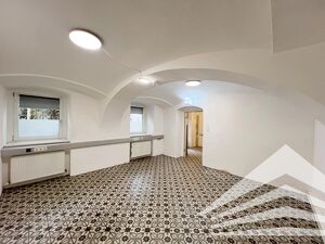 Schönes Gewölbe-Atelier in der Klammstrasse - sofort verfügbar!