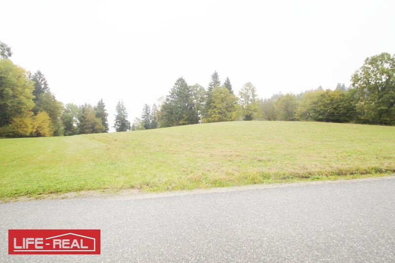 Schafzucht, Pferdezucht,sch&ouml;ne, gro&szlig;e landwirtschaftliche Nutzfl&auml;che, in ruhiger Lage