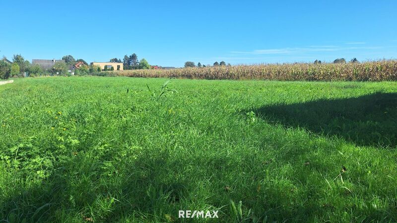 "Sonnige Bauplätze an der Südsteirischen Weinstraße ? Wo das Leben schmeckt"