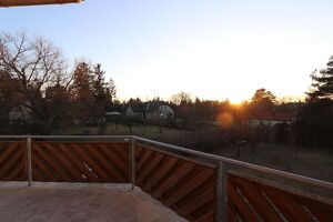 (ab Jänner 2026 frei) Strasshof mit TERRASSE, Abendsonne, Gartenblick