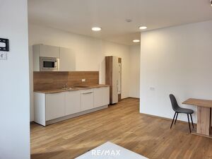 Möbliertes 1-Zimmer-Apartment mit Loggia ? 520,- inkl. BK, HK, Strom u. Wlan