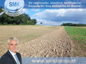 Acker bei Maissau - 3,42 ha landwirtschaftliche Nutzfläche!