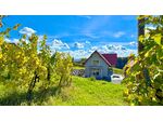 Barrierefreie 3-Zimmer Wohnung mit Terrasse inmitten der Weinberge von Klöch - Erstbezug!