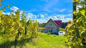 Barrierefreie 3-Zimmer Wohnung mit Terrasse inmitten der Weinberge von Klöch - Erstbezug!