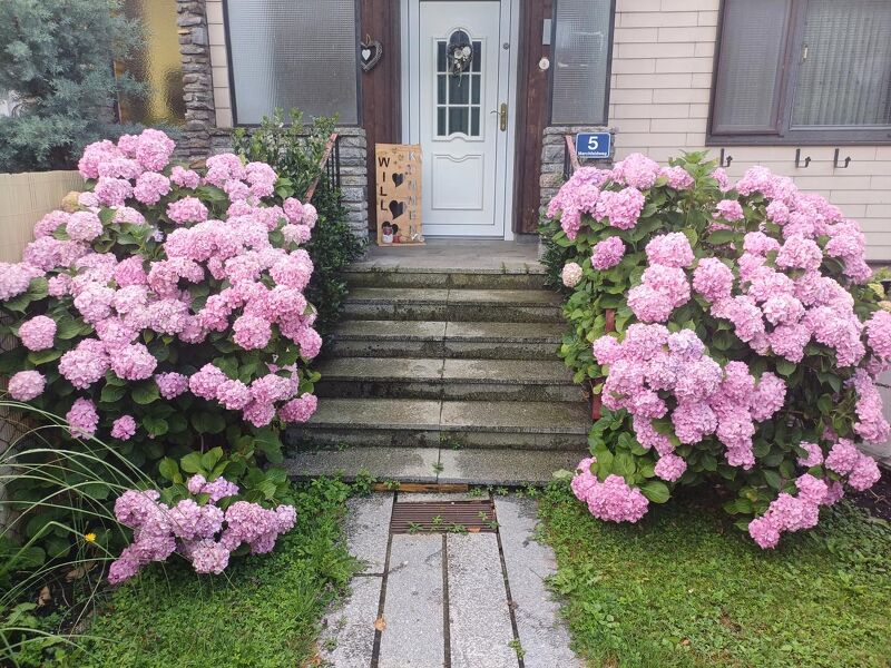 Weihnachten im neuen Heim? Doppelhaush&auml;lfte in Krummnu&szlig;baum (Marbach), Besichtigungen bis 5.12. m&ouml;glich, digitales Bieterverfahren!