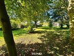 Sonniges Baugrundstück im Ortsgebiet Lanzendorf bei Mistelbach!