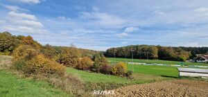 Sonniges Grundstück in Eltendorf ? Ruhe und Natur genießen.