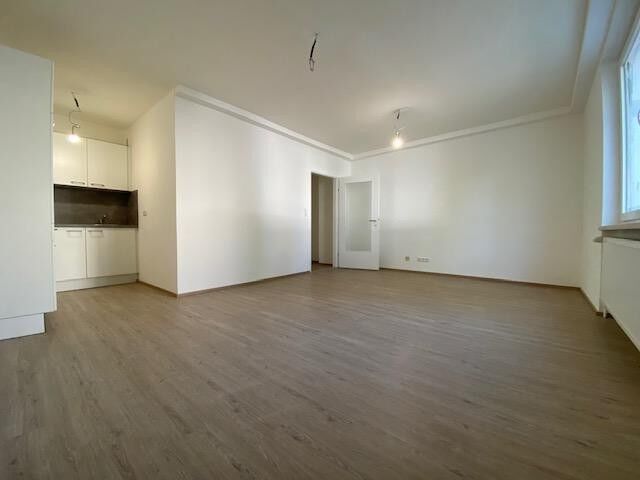 Geräumige Garconniere