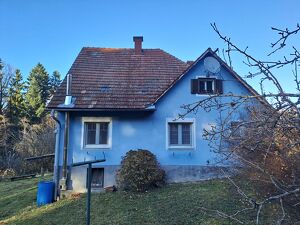 Naturidylle nahe Graz ? seltene Alleinlage mit Potenzial