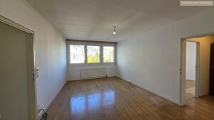 Linzer Straße/Schönbrunn: sanierungsbedürftige, ruhige 2-Zimmer Wohnung mit Grünblick