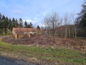 Grundstück mit Altbestand in der Südoststeiermark