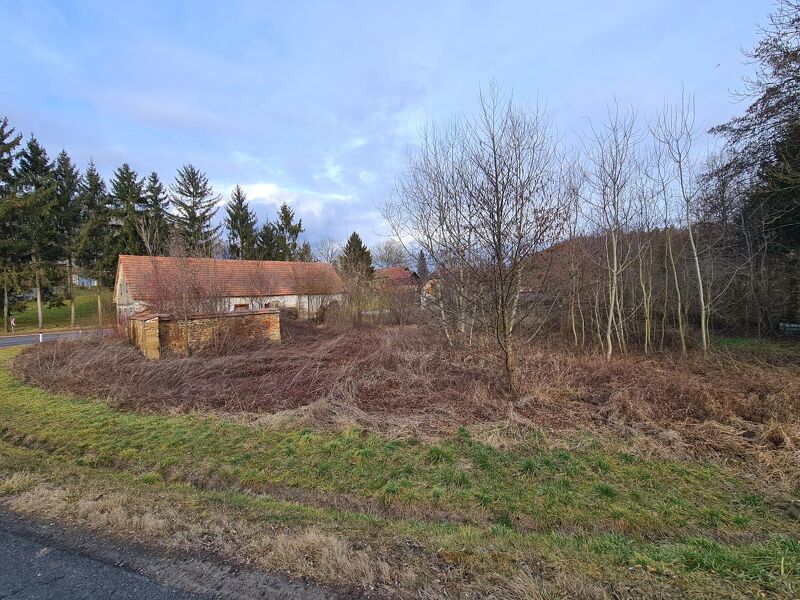 Grundst&uuml;ck mit Altbestand in der S&uuml;doststeiermark