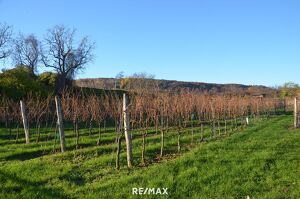 Sonniger Baugrund in ruhiger Lage