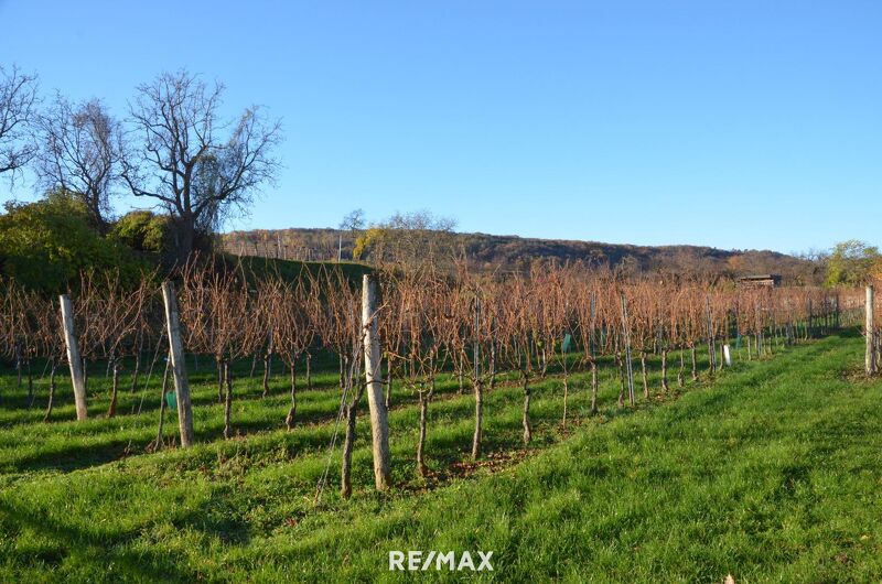 Sonniger Baugrund in ruhiger Lage