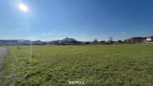 Großes Baugrundstück (ca. 1 ha) in Güssinger Ortsrandlage!